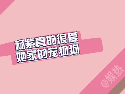 杨紫是真的爱宠物狗piupiu,从18岁到29岁,直言已经把它当作家人 #杨紫 #piupiu #狗狗