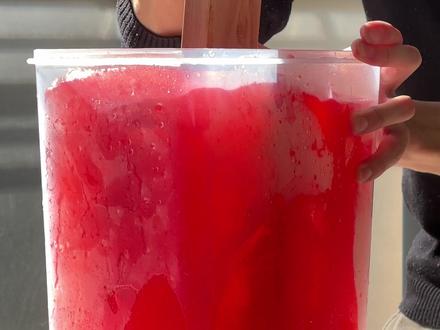 爆肝10天,还原疯狂动物城尼克卖冰棍 #挑战 #疯狂动物城 #我叫王尔德