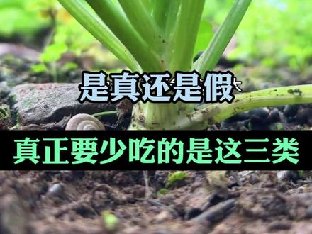 香菜是结节的“加速器”吃了会加速恶化是真还是假真正要少吃的是这三类#科普一下