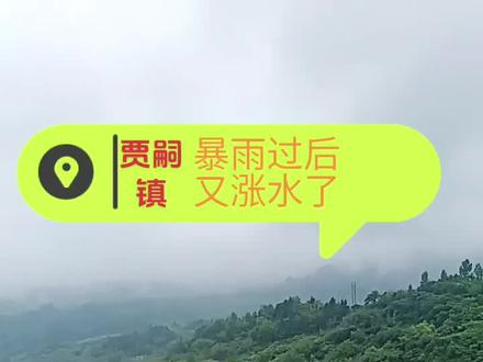 但愿綦河两岸的庄稼完好无损🙏
#暴雨过后
#洪水泛滥
#涨水了
#抖音小助手
@DOU+小助手
@抖音媒体内容优推官
@上热门🔥🔥🔥