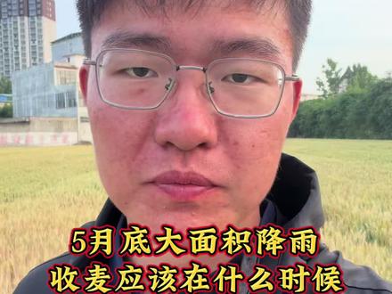 5月底大面积降雨收麦应该在什么时候 #三农 #小麦种植 #心系三农服务三农 #老百姓关心的话题 #小鑫拉农技