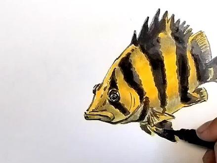 教你学会画虎鱼#创作灵感 #画画 #想画就画 #手绘 #绘画过程