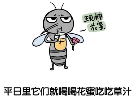 蚊子吸你血的真正理由。#冷知识 #蚊子