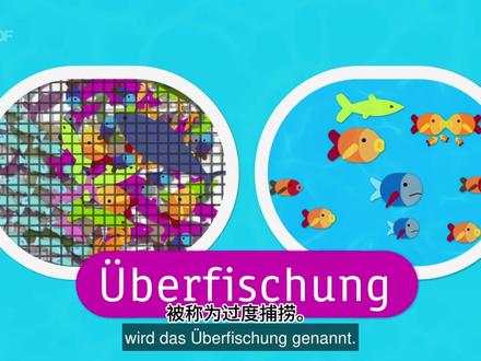 Thema: 过度捕捞的危害!
Logo 是德国电视台ZDF旗下的第一档儿童青少年类新闻栏目.节目内容选材来源于经济,自然,科教,生活等话题。常用一到两分钟卡通动画讲解,文章简洁易懂非常适合A1—B2阶段的德语学习者。
如果宝子们喜欢这一类科普类德语双语视频,记得一键三连哦!!!☺️🤩❤️
#德语 #德语学习 #德语动画片 #德语入门 #德语听力