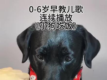 儿歌多多100首0到3岁宝宝早教儿歌100首联播《小兔子乖乖》《拔萝卜》《小兔蹦蹦跳》《宝贝宝贝》《数鸭子》《小毛驴》《宝宝睡觉》《小鸭子嘎嘎嘎》《小手拍拍》《小猫怎么叫》《小羊怎么叫》《宝宝学说话》《小狗汪汪叫》《冰糖葫芦》《蜗牛与黄鹂鸟》《小动物叫声》《山上有老虎》 《小鸭子嘎嘎嘎》《世上只有妈妈好》《吃饭进行曲》《我是挖掘机》《我是消防车》《我爱妈妈》《家庭称呼歌》《如果你感到幸福就拍拍手》《鲨鱼宝宝》《切土豆》《公鸡舞》《数鸭子》《水果歌》《炒萝卜》《猪八戒》《蔬菜歌》《我爱洗澡》《家庭称呼歌》《冰糖葫芦》《动物叫声》,《小手拍拍》《宝宝学说话》《量词歌》《刷牙歌》 宝宝早教儿歌 1-3岁儿歌100首最火 幼儿儿歌舞蹈 1-3岁宝宝儿歌100首最火 #宝宝巴士儿歌 #儿歌 #动画片每天更新 #儿歌100首最火 #贝乐虎儿歌