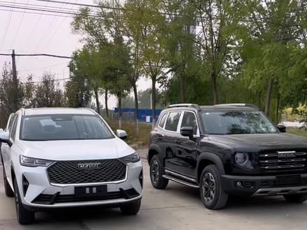 哈弗H6与哈弗大狗HUD抬头显示对比,你选谁?#每天推荐好车 #哈弗大狗 #哈弗h6