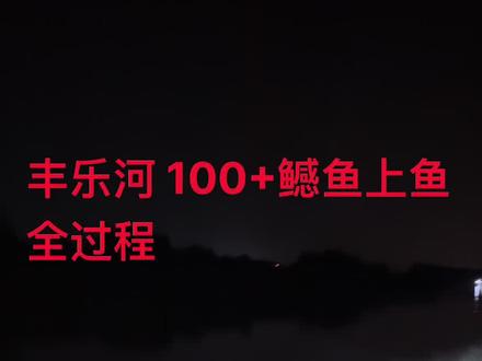 #户外 #夜钓 100+上鱼全过程