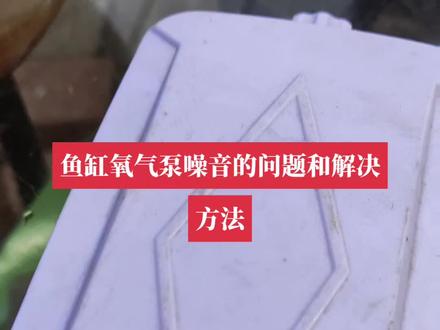 养鱼日志#氧气泵噪音 和维修方法