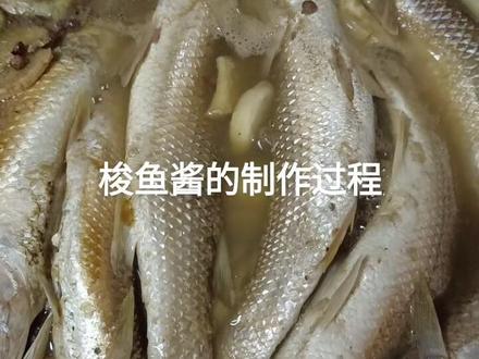 梭鱼酱的制作过程:不喜勿喷😁😁仅供参考!相互学习交流经验才能更好的提升✔
