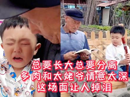 总要长大总要分离,多肉和太姥爷情意太深,这场面让人掉泪!#爷孙情 #老人带娃 #多肉小盆友 #家有一老一小两个都是宝 #懂事的让人心疼 #泪奔瞬间 #隔代亲 #爱的分离 #奔奔搞笑 #隔辈亲
