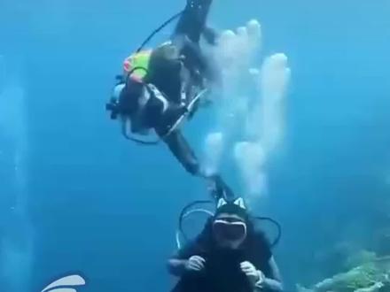 潜水时竞被他人关掉氧气 #热点60秒 #热点新闻事件 #潜水