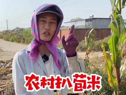 他说再也不来了#南北差异 #东北 #扒苞米