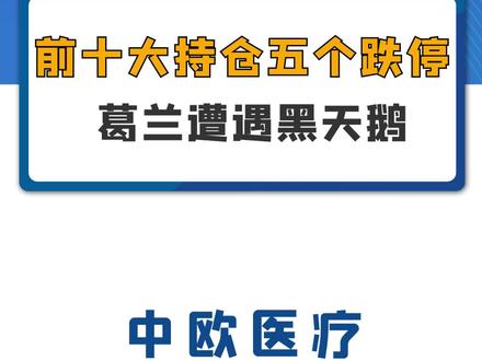 前十大持仓五个跌停,葛兰遭遇黑天鹅!#药明康德 #凯莱英 #康龙化成 #博腾股份 #中欧医疗 #中欧医疗葛兰