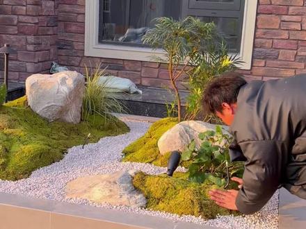 微地形景观造景及灯光浇灌#庭院设计施工 #小院改造 #微地形造景#苔藓#灯光浇灌