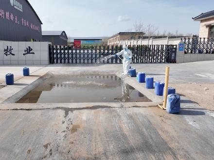 中国速度!南非1型口蹄疫疫情防控#口蹄疫防控