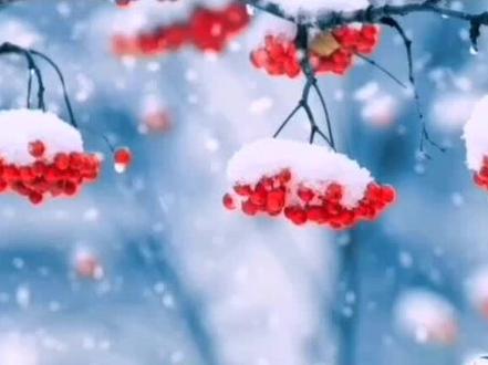 #下雪了 #冷知识 #创作灵感 #中华文化 #上热门 你那下雪了吗?春立春节气下大雪,卖了老牛去买碳