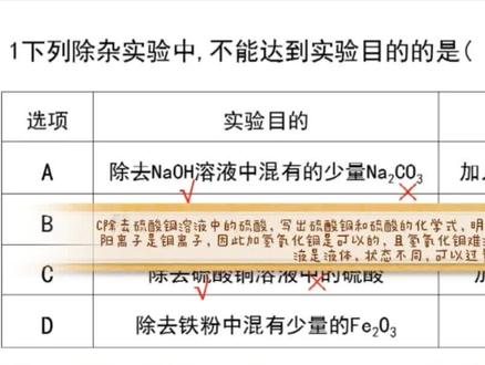 初中化学,你会做酸碱盐的除杂题吗?