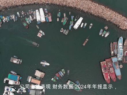 解读分析一家公司 百利电气600468