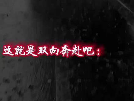 这就是双向奔赴吧……#刀子 #奇喵君故事 #猫小九历险记