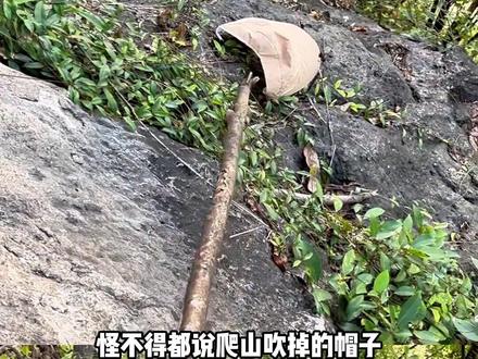 遇到三不捡一定要小心谨慎#海边 #离岸流 #危险 #万万没想到