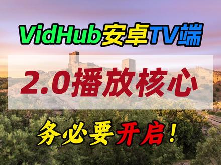 VidHub安卓TV端2.0播放核心~务必要开启! #vidhub #安卓 #tv #好用斋