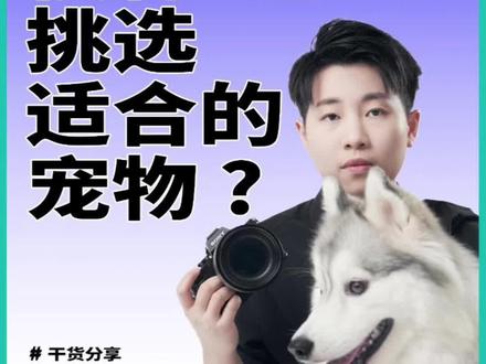 90%新手宠物摄影都在头疼的问题:怎么约到宠物模特?怎么选模特才能提高拍摄效率?#是宠物更是家人 #怎么给小狗拍照 #拍摄技巧 #干货分享 #宠物摄影教学