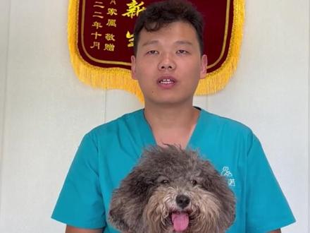 即便是人类,也是第一次知道什么是第三眼睑增生!
#猫狗 #宠物眼科知识科普 #宠物疾病科普