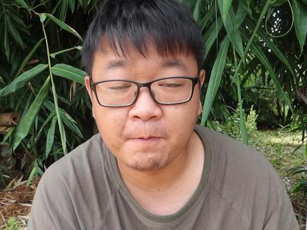 云南特有的甜龙竹,巨大的笋子挖起来可以直接吃