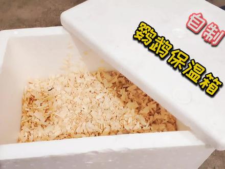 半毛的手养鹦鹉可以先为它做个保暖的小窝了,跟着坤哥动手做一个 #鹦鹉