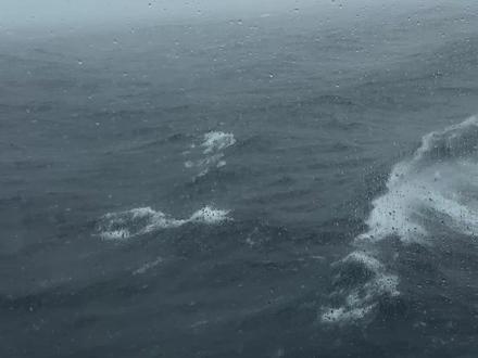 德雷克海峡(Drake Passage)是连接南美洲的南极半岛与南极洲之间的重要海域,“太平洋与大西洋交汇处”,也是世界上最著名、最具挑战性的航海通道之一。它的风浪和海况因其特殊的地理位置而闻名,常被认为是南极探险中最激烈的一段航程。
乘船前往南极——德雷克海峡的体验,震撼而激烈
乘船穿越德雷克海峡是一段令人难忘的经历。船只在巨浪中颠簸,船身剧烈摇晃,仿佛在与大自然的狂野力量抗争。许多乘客会感受到强烈的晕船,但也因此获得了“真正的探险体验”穿越德雷克海峡不仅是一次航海,更像是一场与大自然的对话,充满挑战与壮丽。
我摇摇晃晃扶着栏杆亲自在船的五楼拍摄的实景,留下美好的回忆。