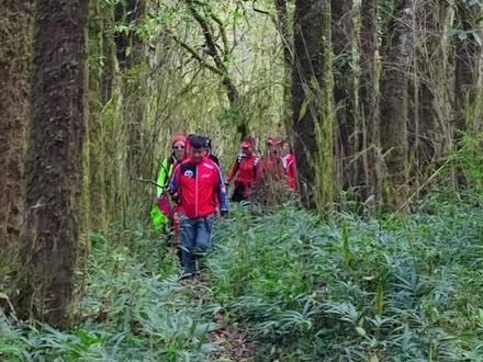 #徒步雷公坪 今天我们一行15人,红阳草场出发,途径雷公坪,西江出,现在安全凯里。报个平安。#户外徒步登山 #贵州美好推荐官 #治愈系风景