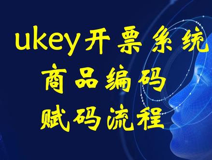 ukey开票系统、商品编码、商品编码赋码、商品赋码流程