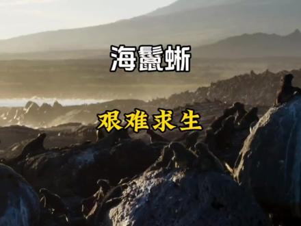 现实版的哥斯拉,长相凶猛,确是吃素的#神奇大自然纪录片 #纪录片 #神奇动物在抖音