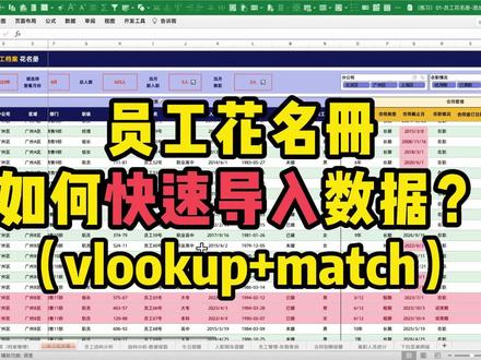 员工花名册,如何快速的导入数据? #Excel #Excel教学 #小秋的excel #员工花名册 #小助手