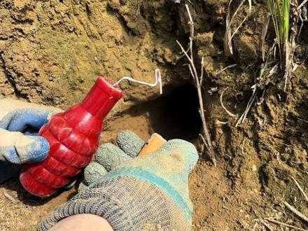 小伙拿“AK47”加烟雾弹灭鼠,下一秒害鼠一跳而出,场面太刺激了#驱鼠 #乡村军仔 #军仔抓老鼠 #抓老鼠