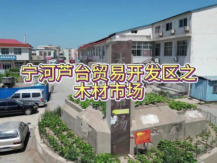 木材市场地块 #芦台 #宁河 #航拍