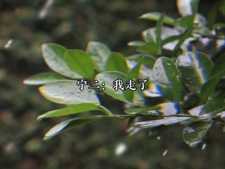 谢危十秒抵达战场!!
#坤宁 #广播剧 #张遮 #配音