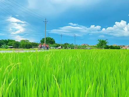 导出视频有黑边,视频画面不是满屏,三种方法快速解决!#视频剪辑教程 #视频黑边 #剪映视频制作 #剪映视频教程 #剪映教程 #剪映满屏 #视频满屏 #剪映视频剪辑教学 #剪映视频剪辑玩法 #剪映视频制作分享