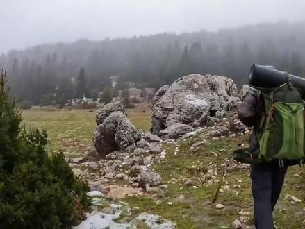 带着一条军犬的,求生之路