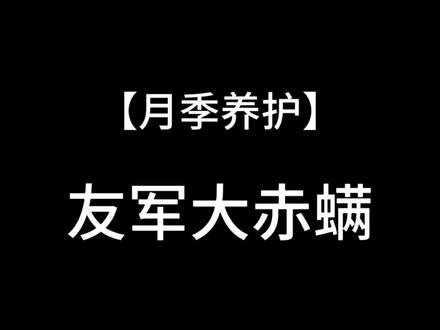 一直被误解的月季红蜘蛛,其实是益虫#月季 #月季养护 #花卉绿植 #养花小知识 #种植小技巧