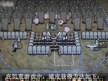 饥荒猪皮怎么获得?饥荒猪皮怎么刷?饥荒猪皮获取方法 #饥荒 #猪皮