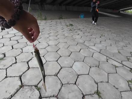 路亚佬了解一下 #钓鱼技巧分享 #伟大的钓手出发吧 #钓鱼佬才懂的神级装备 #路亚野钓 #春天给我照相 渔业法新规,钓鱼佬们注意啦!