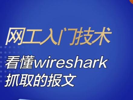 教你如何看懂Wireshark抓取的数据包#干货分享 #知识点总结 #电脑知识 #职业技能 #网络工程师