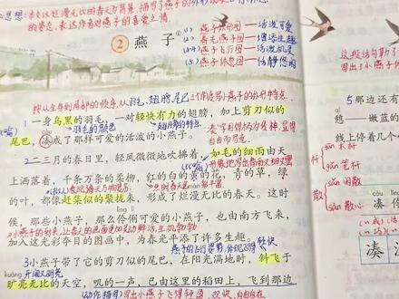 三年级下册语文第二课《燕子》详细讲解。记得关注哦。爱你们。#语文#小学语文#家长收藏#三年级语文#课文讲解