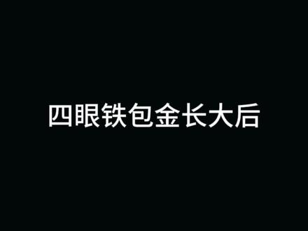 四眼铁包金长大后#四眼犬 #四眼铁包金 #田园犬 #土狗 #土松