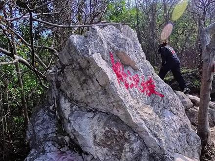 保姆级攻略:南京幕府山徒步 南京最值得徒步的山是哪座?很多人都会选择幕府山,因为这里有很多条路线适合不同类型的徒步者,位于市区交通方便,幕府山还是南京最佳观长江的地方。今天我们做一期大众常走的路线(幕府山环线),此路线相对简单,和我们一起沉浸式体验这次徒步吧。#上热门 #南京 #户外徒步登山 #幕府山 #户外探险