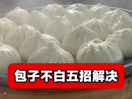 包子不白五招解决#包子 #包包子 #老台门 #老台门曹老师