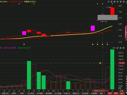 龙洲股份:主力资金出逃了吗?还有反弹机会?