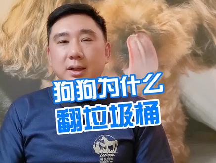 狗狗为什么翻垃圾桶 #宠物 #萌宠 #宠物知识