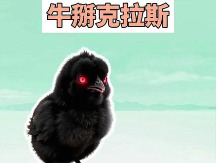 小妹妹你挺牛逼克拉斯啊是什么梗? #小妹妹你挺牛逼克拉斯啊 #第五人格 #梗 #抽象 #小妹妹你挺牛逼克拉斯呀